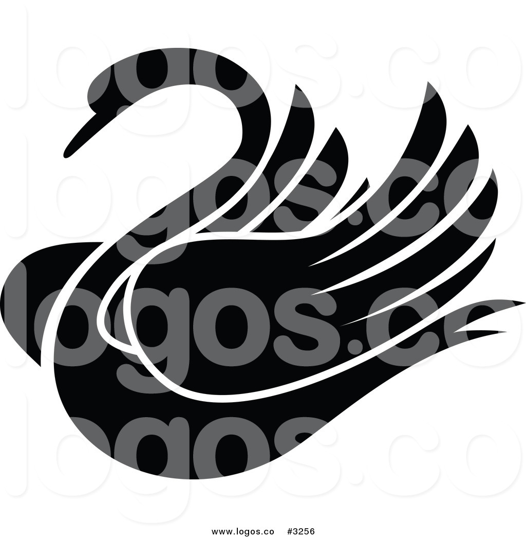 1024x1044 Black Swan Clipart Vector 3077267