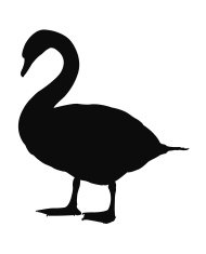 190x235 Swan Silhouette Premium Clipart