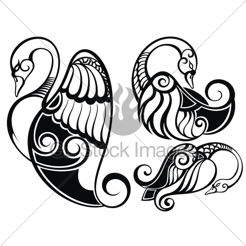 500x500 Swan Silhouette Gl Stock Images