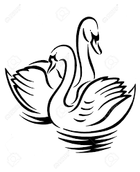 202x249 Image Result For Swans Drawing Swans