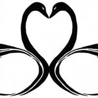 200x200 Plain Outline Swan Tattoo Design