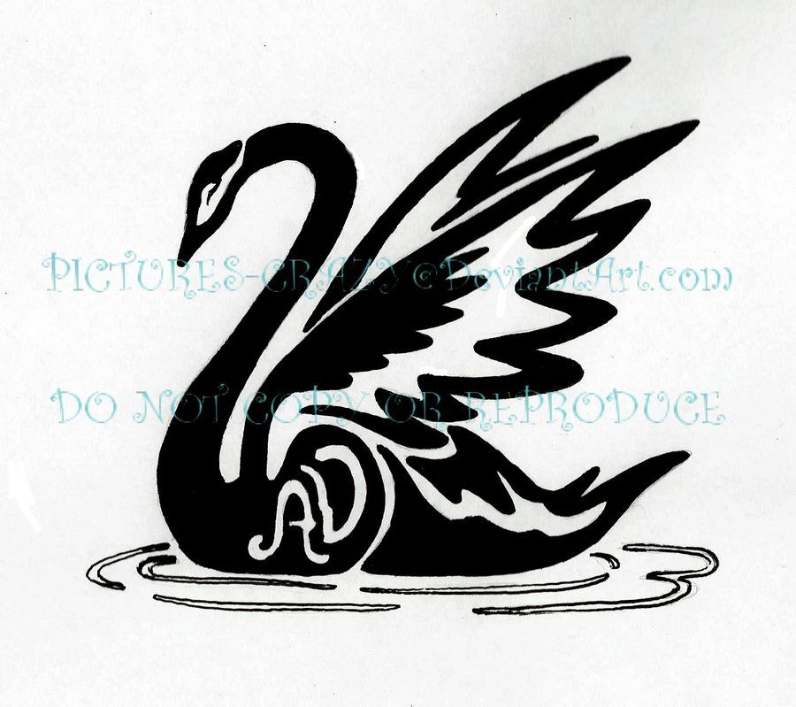 900x799 Swan Tattoo Drawing