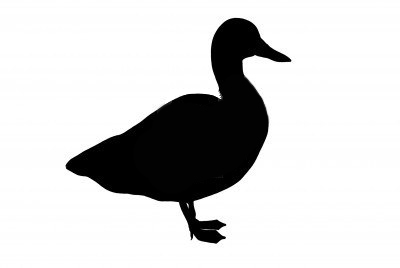 400x268 Duck Silhouette Clip Art But In White Ink Tattoo Ideas