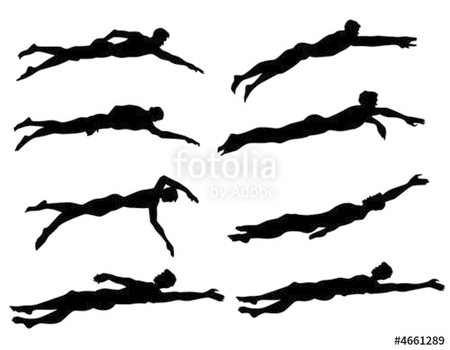 500x389 Swimming Vector Silhouettes Stock Image And Royalty Free Vector
