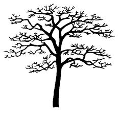 Sycamore Tree Silhouette at GetDrawings.com | Free for personal use