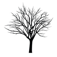 200x200 Tree Silhouette Collection 4 Stock Vector