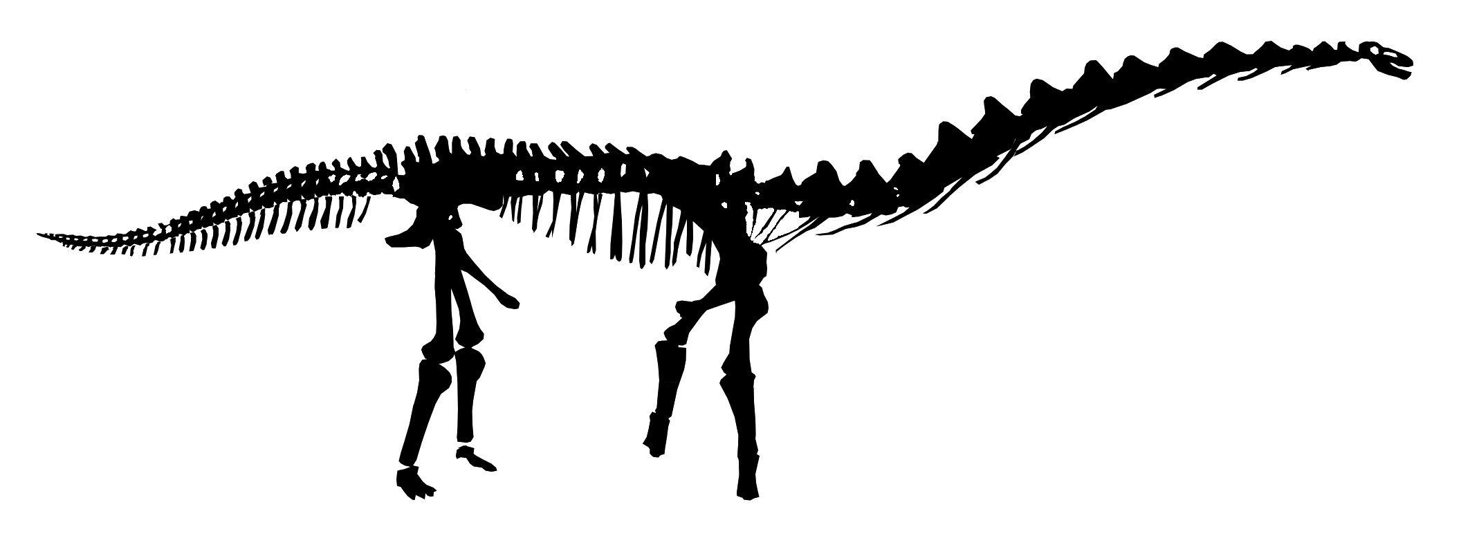 2112x788 Rapetosaurus Is Just Plain Wrong Sauropod Vertebra Picture
