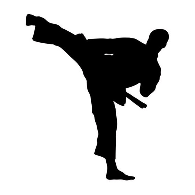 Taekwondo Girl Silhouette