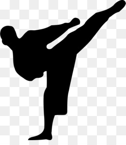 260x300 Karate Wall Decal Kick Martial Arts
