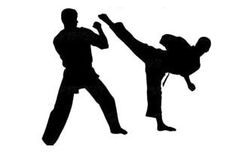 236x153 Silhouette Of Taekwondo Girl Royalty Free Stock Photos