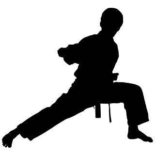 Taekwondo Girl Silhouette at GetDrawings | Free download