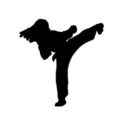 250x250 Birthday Party Hans World Martial Arts