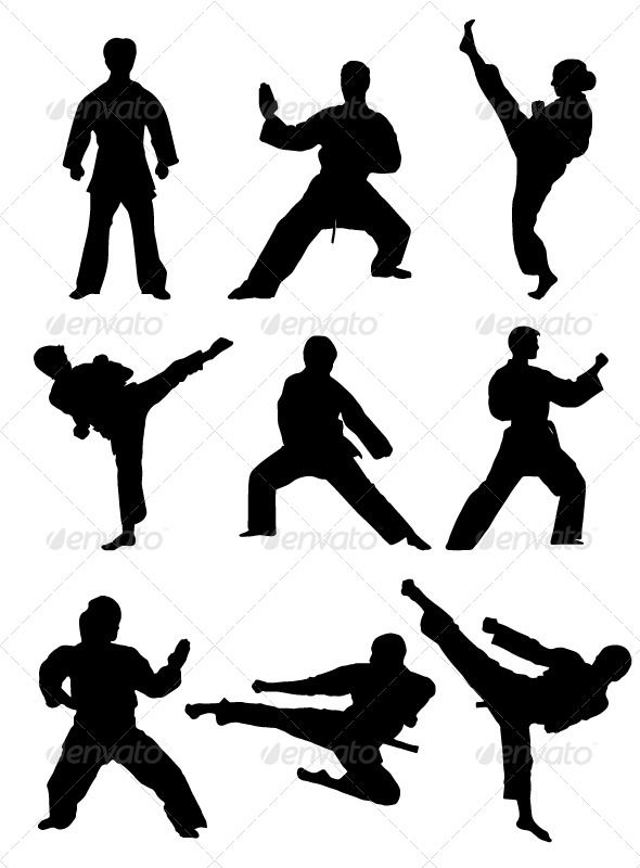 590x800 Karate Silhouettes Silhouette, Cake And Martial