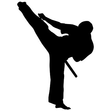 355x355 Martial Arts Wall Decal Sticker 42