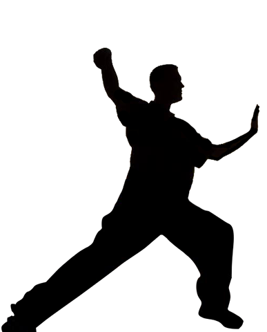 Tai Chi Silhouette at GetDrawings | Free download