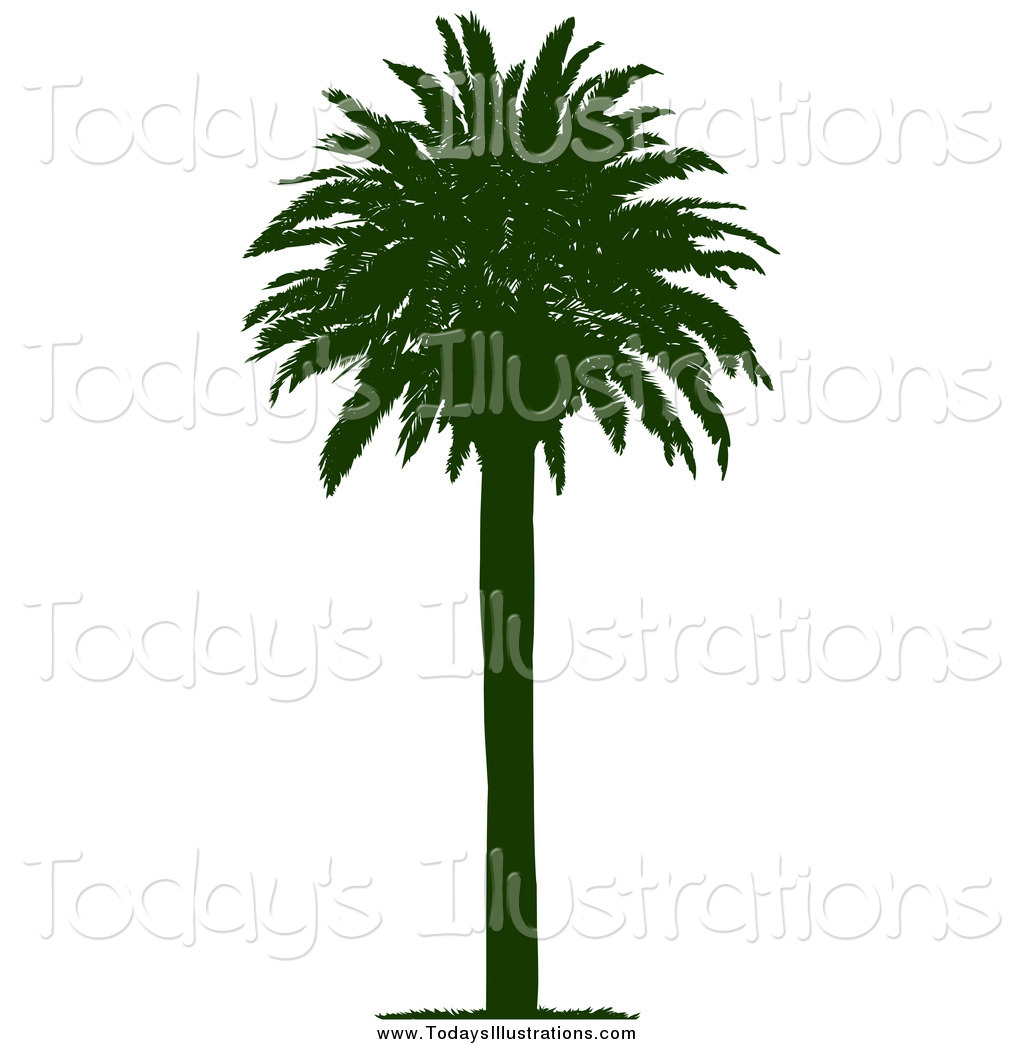 1024x1044 Royalty Free Tree Silhouette Stock New Designs