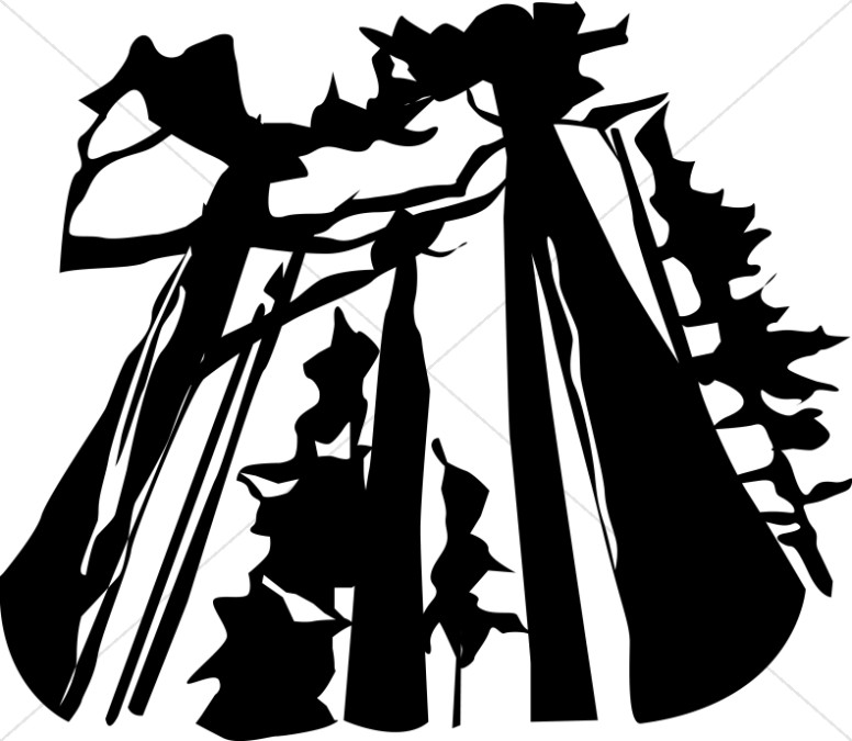 776x675 Tall Trees Silhouette Nature Clipart