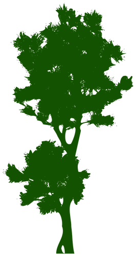 266x500 Tall Tree Image Public Domain Vectors
