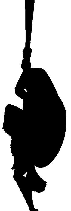 236x700 Disney Tangled Silhouette