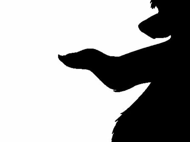 640x480 Can You Identify These 10 Disney Movie Animal Silhouettes