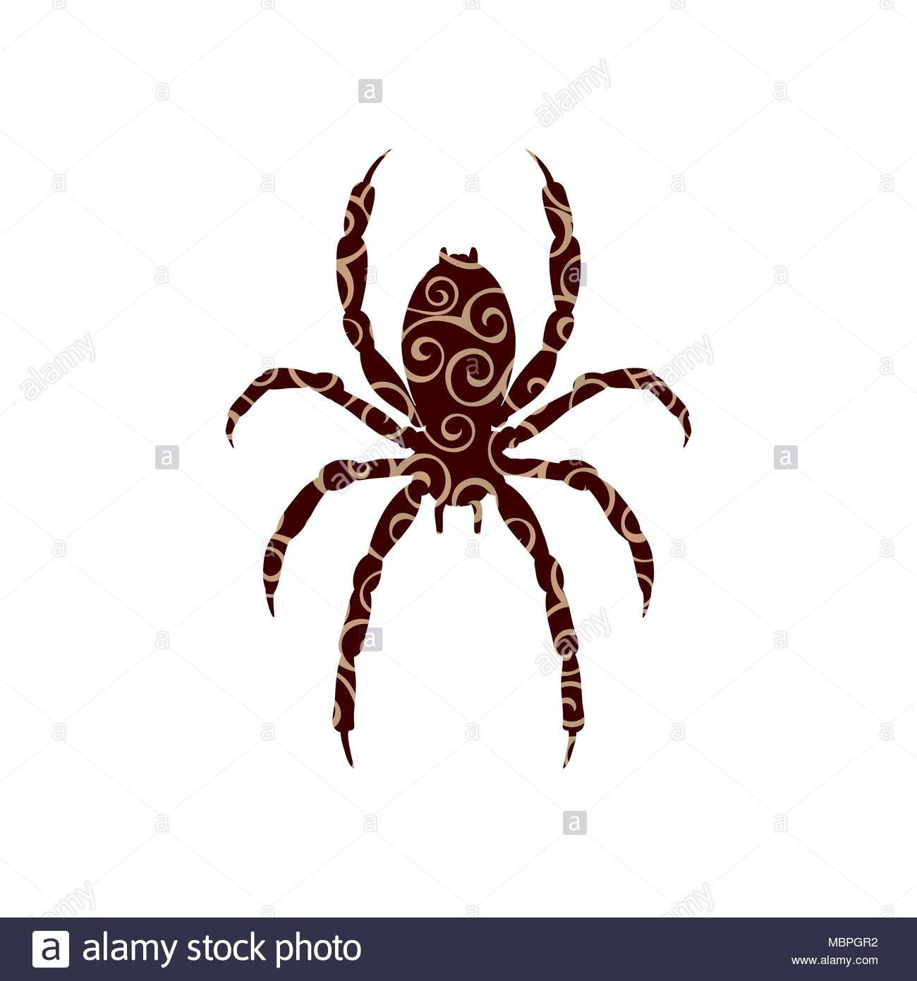 1300x1390 Tarantula Stock Vector Images