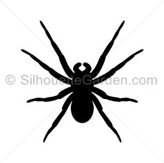 236x234 Tarantula Silhouette Clip Art. Download Free Versions Of The Image