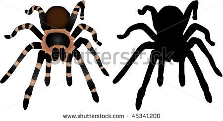450x246 Tarantula Silhouette Clip Art