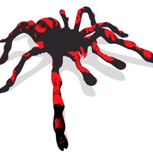 300x300 Black Red Tarantula Vector