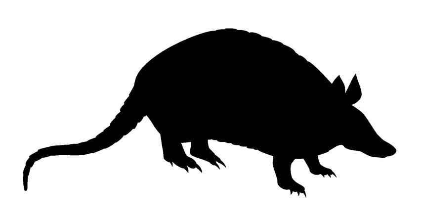 854x449 Armadillo Silhouette 2 Decal Sticker