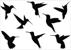 236x165 Hummingbird Sketchesdraws Silhouettes, Stenciling