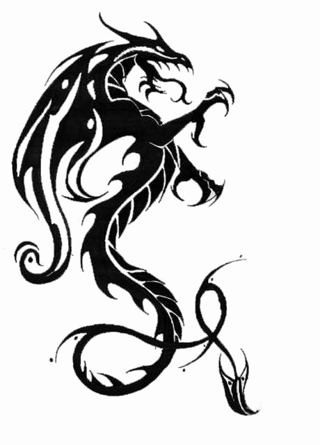 460x640 49 Best Of Photos Silhouette Dragon Tattoos