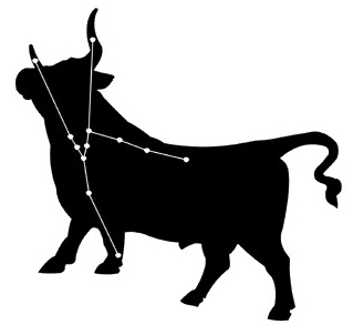 319x302 Care Zodiac And The Sign Of Taurus