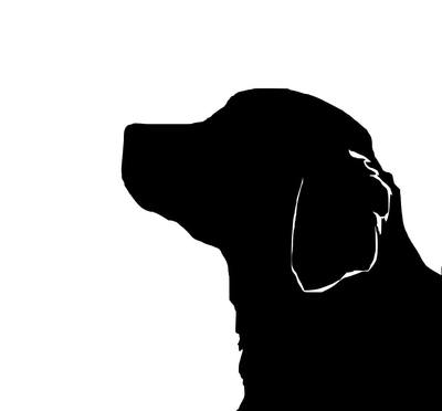 400x372 Golden Retriever Silhouette Extra Large Reusable Cotton Canvas