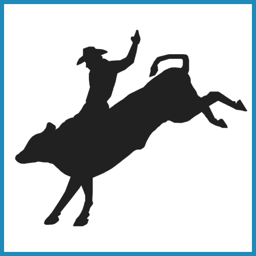 501x501 Rodeo Results