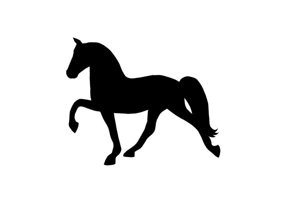 1000x714 Tennessee Walking Horse Silhouette Drawing