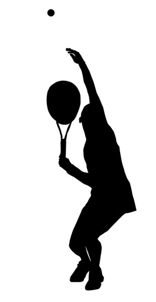 309x600 Free Stock Photos