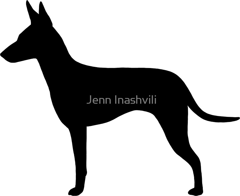 800x654 Manchester Terrier Silhouette(S) Stickers By Jenn Inashvili