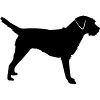 200x200 4 Bull Terrier Prints, Dog Silhouette, Fall Backgrounds, Dog Breed