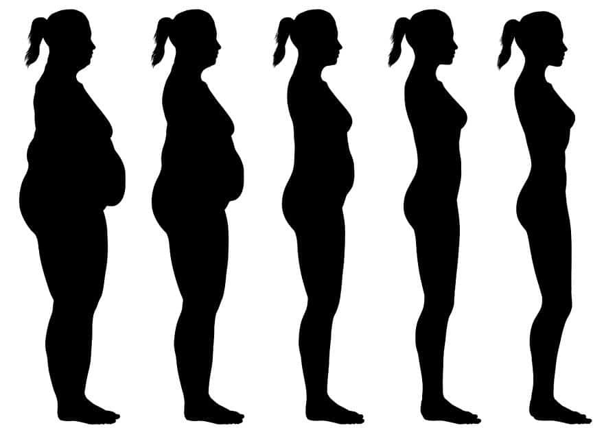 880x624 Body Composition Test