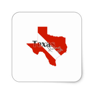 307x307 Texas Diving Flag Craft Supplies Zazzle