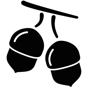 283x283 Thanksgiving Acorns Silhouette Silhouette Of Thanksgiving Acorns