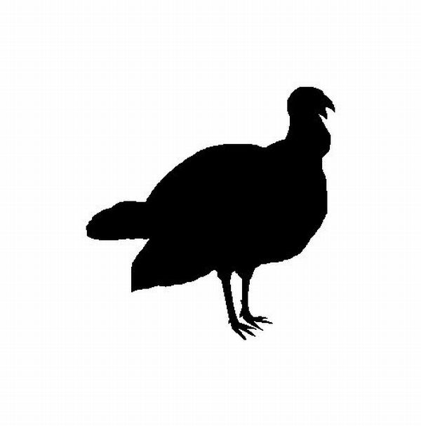 600x607 Silhouette Thanksgiving Turkey No.3 On Luulla