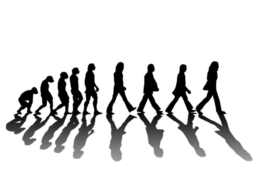 900x675 Cool T Shirt Design Abbey Road Beatles Evolution By Acantarela