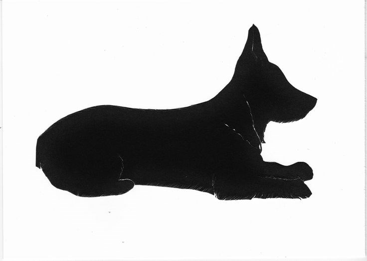 736x523 Sylhouettes By Sylvia Silhouette Portrait Artist