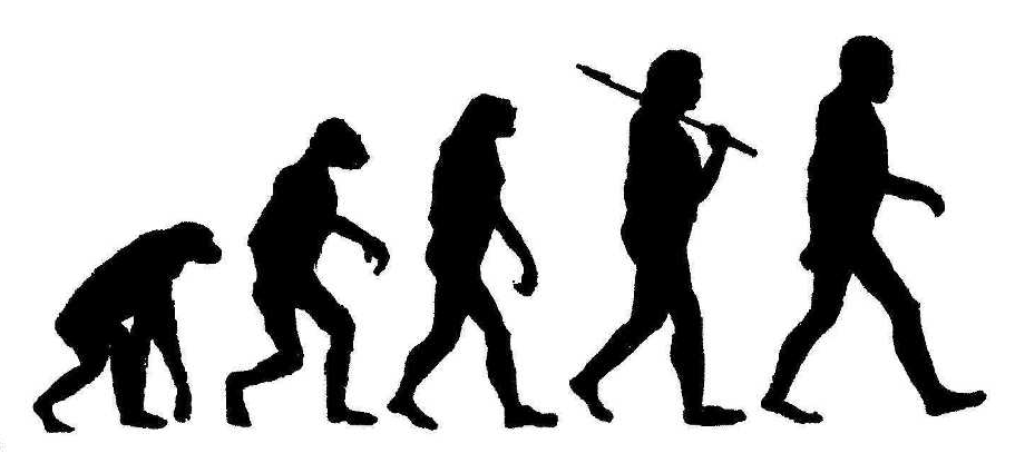 911x416 How The Deconstruction Of Men Echoes Our Totalitarian Past