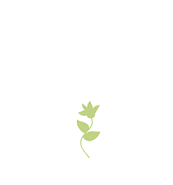 249x266 Dr Steven J Bock Md Treatment Of Complex Lyme Disease And Integrative