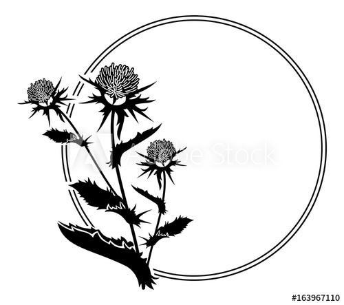 500x443 Round Frame With Thistle Silhouette. Vector Clip Art.