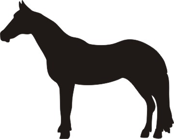 360x287 Custom Vinyl Decals