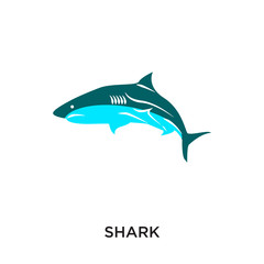 240x240 Search Photos Shark