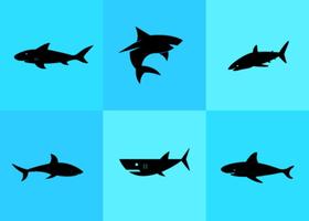 280x200 Sharks